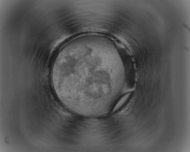 X0000091360971200709071259