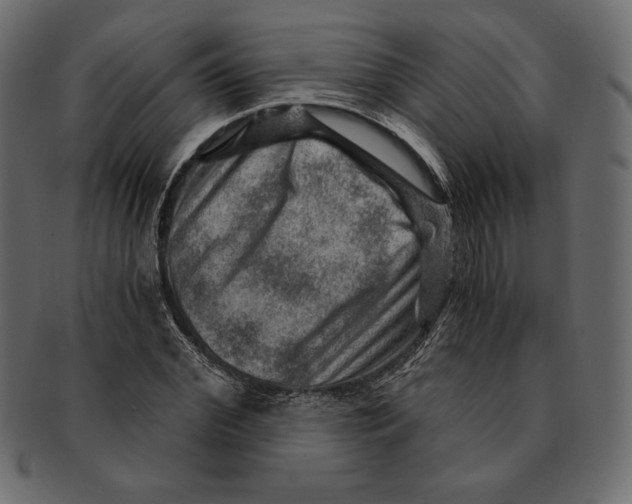 X0000091360972200709071259