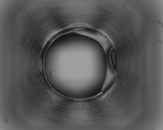 X0000091360973200709071259