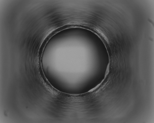 X0000091360976200709071259