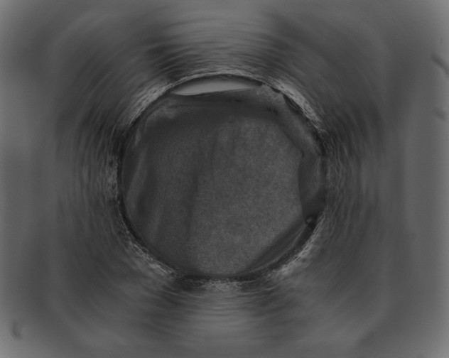 X0000091360977200709071259