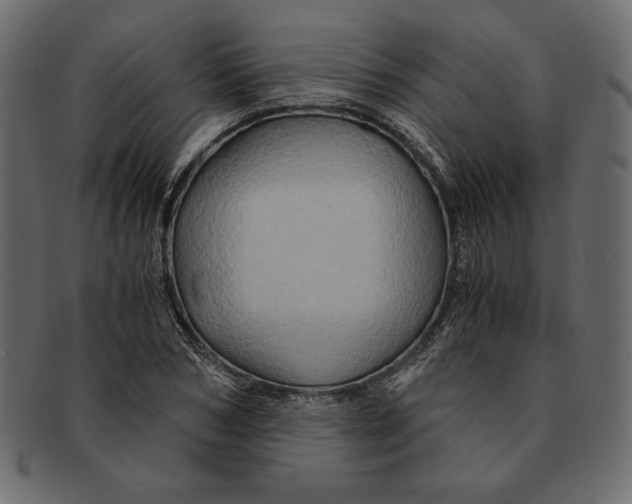 X0000091360978200709071259