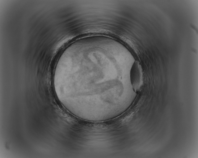 X0000091360979200709071259