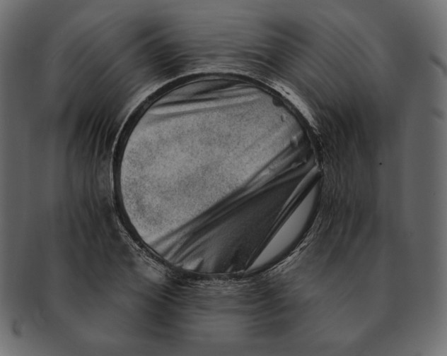 X0000091360980200709071259