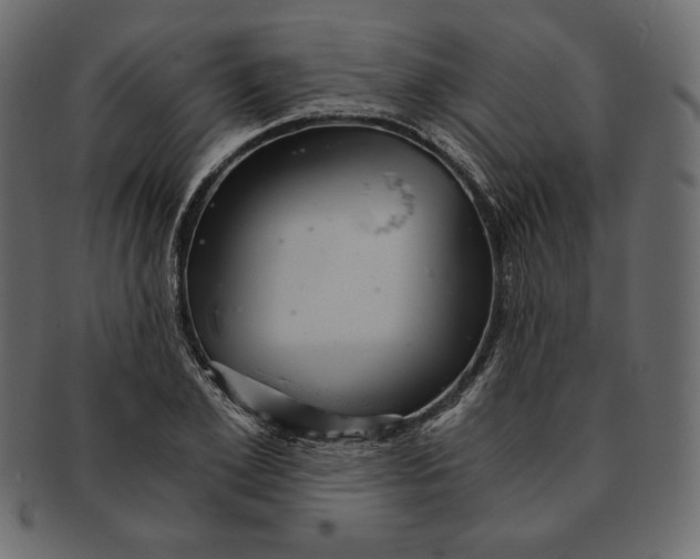 X0000091360981200709071259