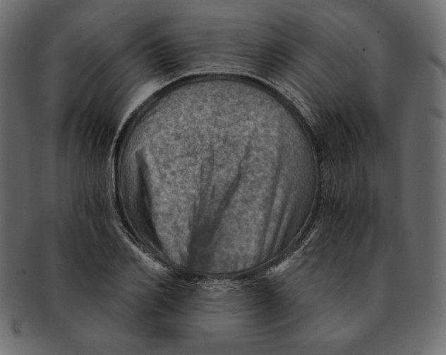 X0000091360982200709071259