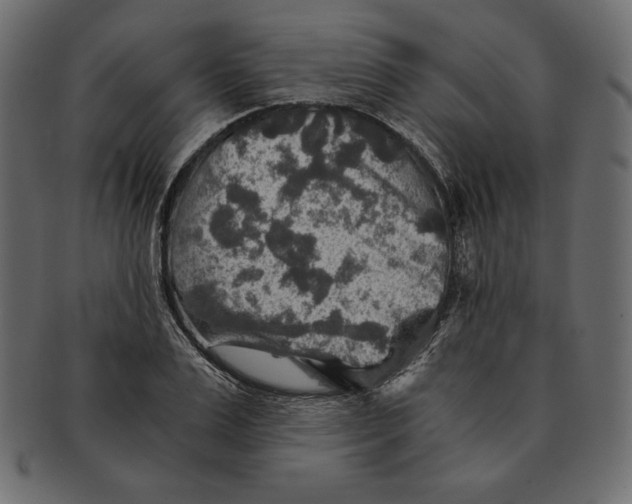 X0000091360983200709071259