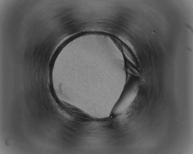 X0000091360984200709071259