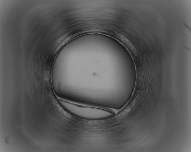 X0000091360985200709071259