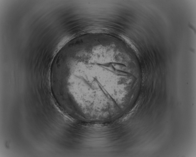 X0000091360986200709071259