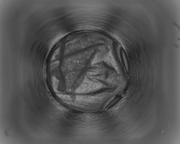 X0000091360987200709071259