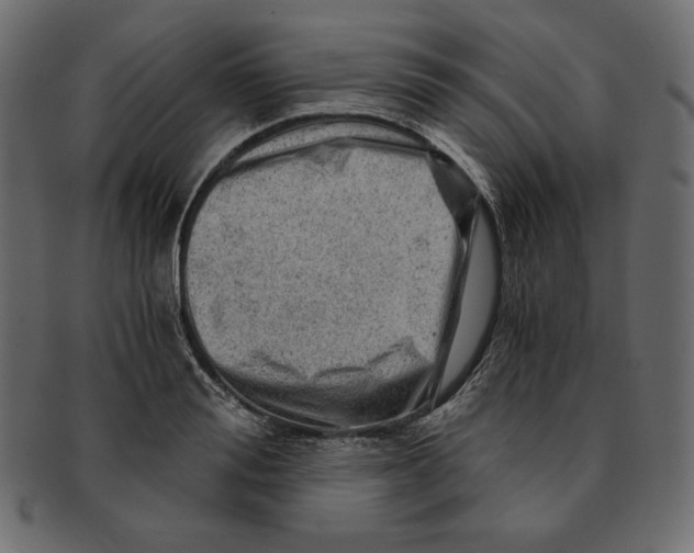 X0000091360988200709071259