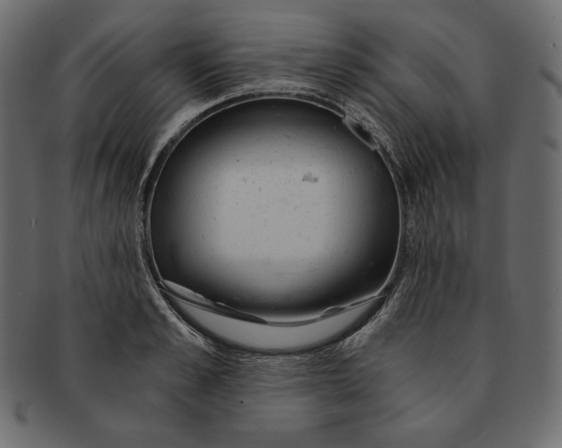 X0000091360989200709071259