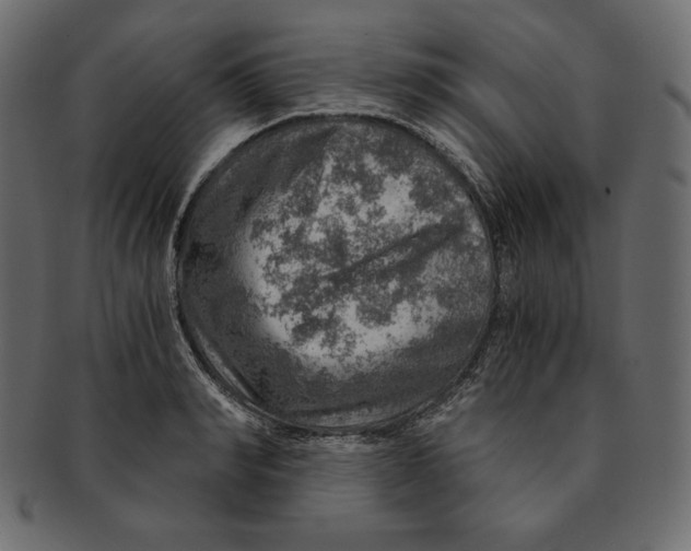 X0000091360990200709071259