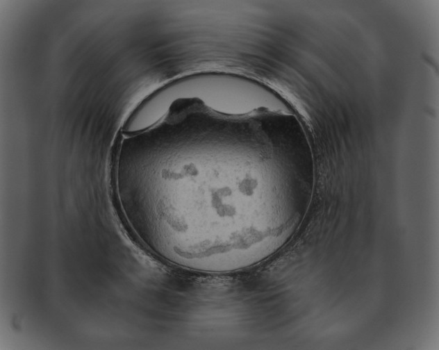 X0000091360991200709071259