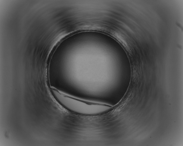 X0000091360992200709071259