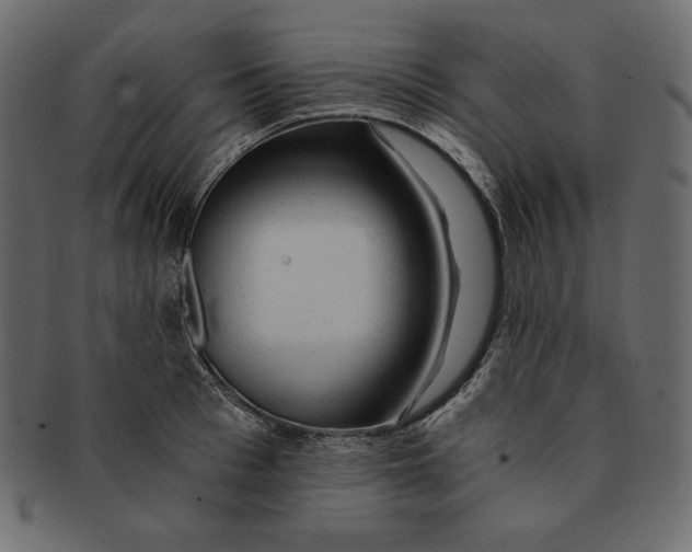 X0000091360993200709071259