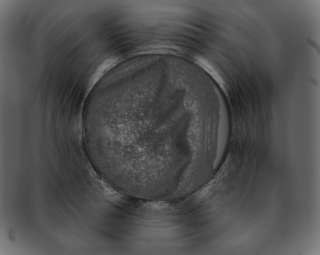 X0000091360994200709071259