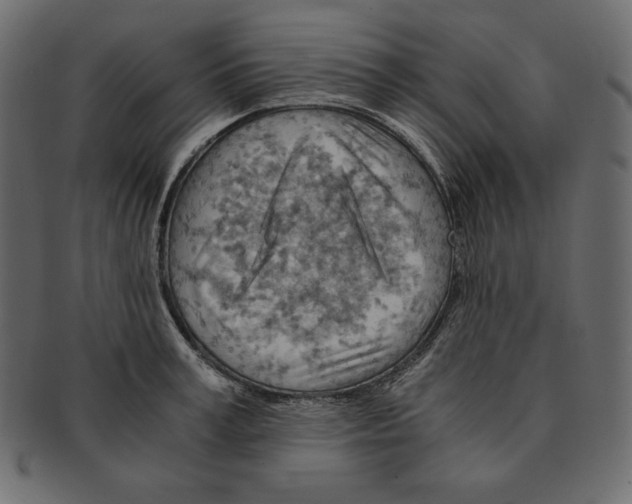 X0000091360995200709071259