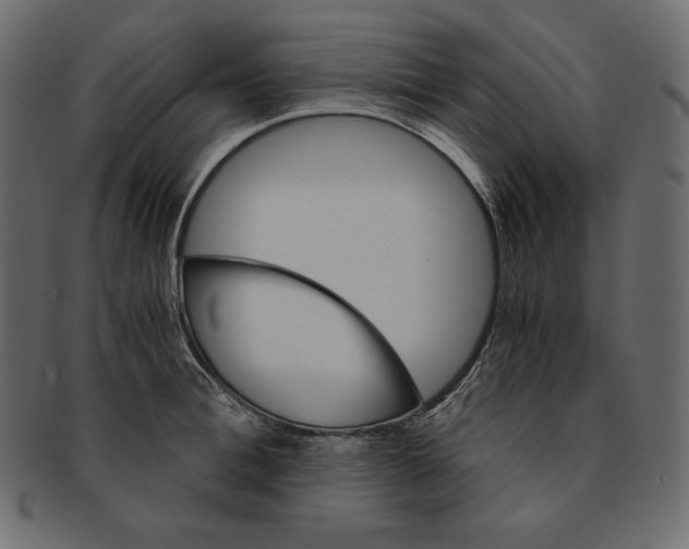 X0000091360996200709071259