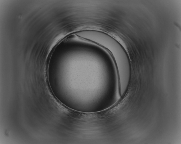 X0000091360997200709071259