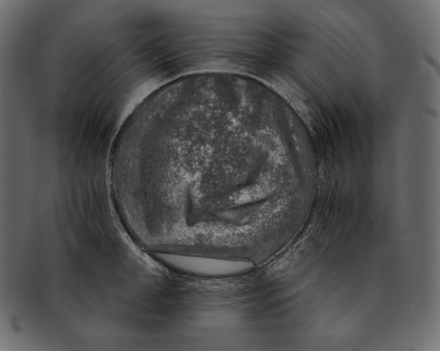 X0000091360998200709071259