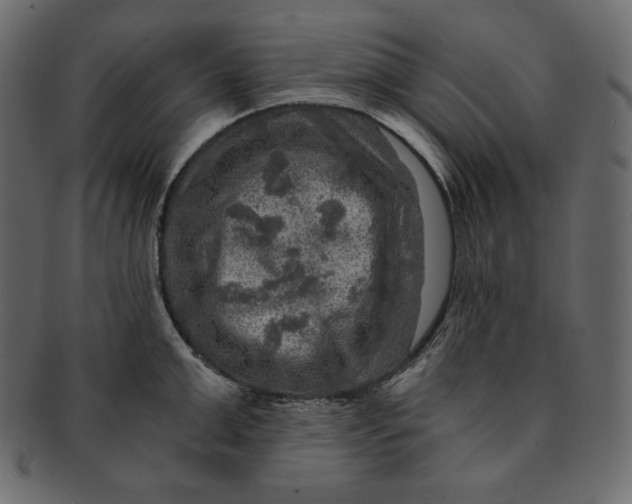 X0000091360999200709071259