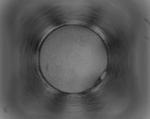 X0000091361000200709071259