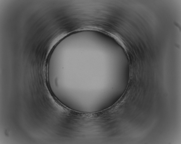 X0000091361003200709071259