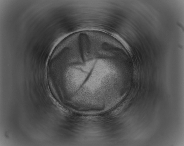 X0000091361004200709071259