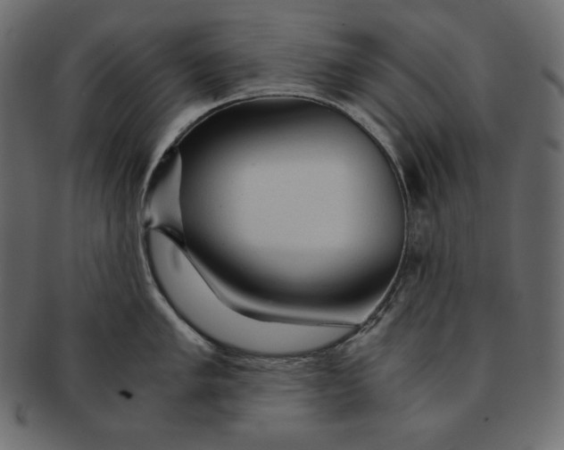 X0000091361005200709071259