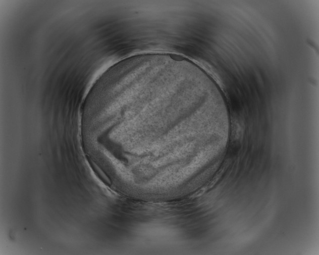 X0000091361006200709071259