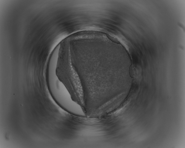 X0000091361007200709071259