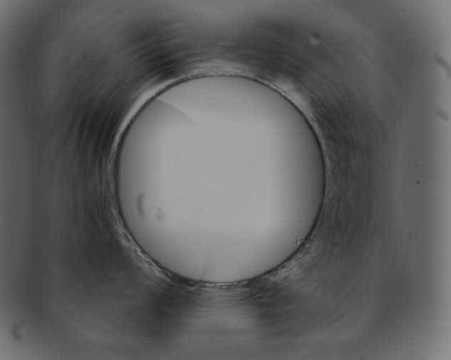 X0000091361008200709071259