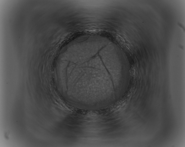 X0000091361009200709071258