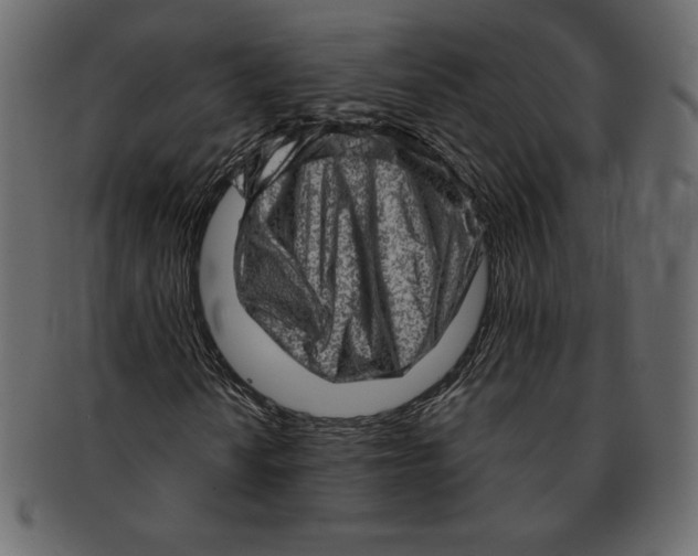 X0000091361010200709071258