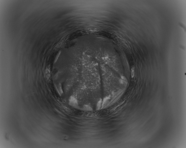 X0000091361011200709071258