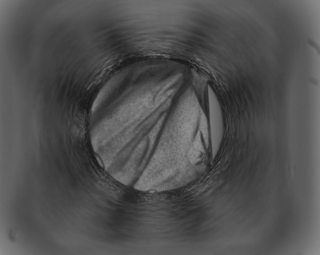 X0000091361012200709071258