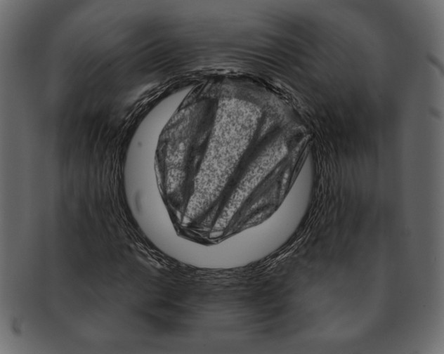 X0000091361014200709071258