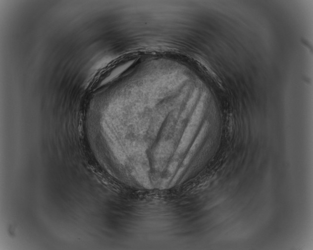X0000091361016200709071258