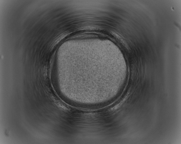 X0000091361017200709071258