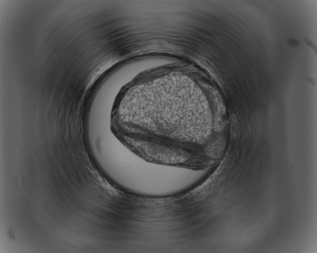 X0000091361018200709071258