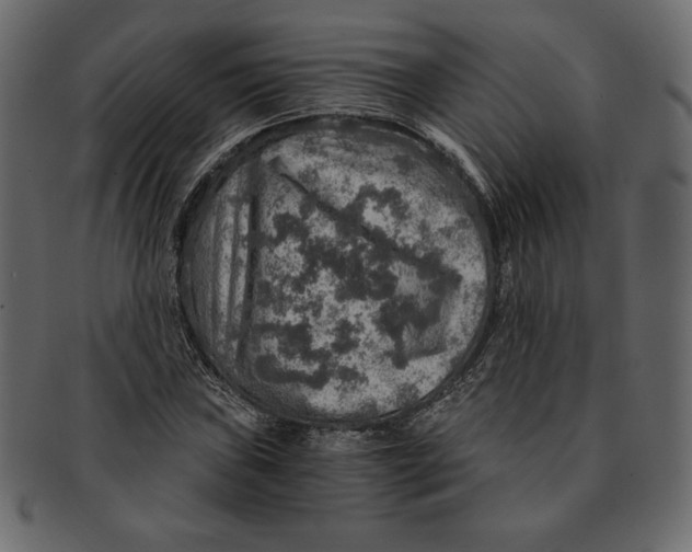 X0000091361019200709071258