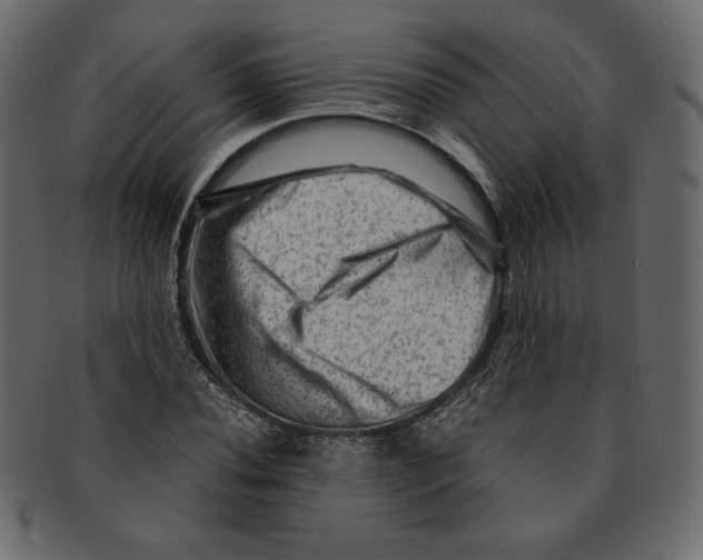 X0000091361020200709071258