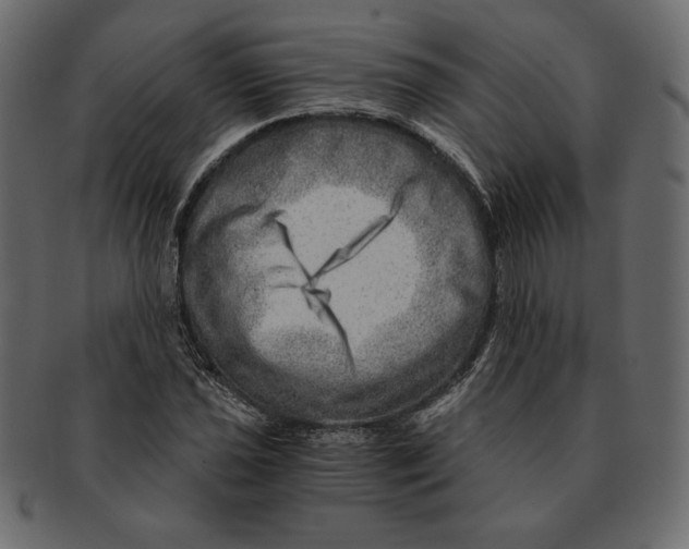 X0000091361021200709071258