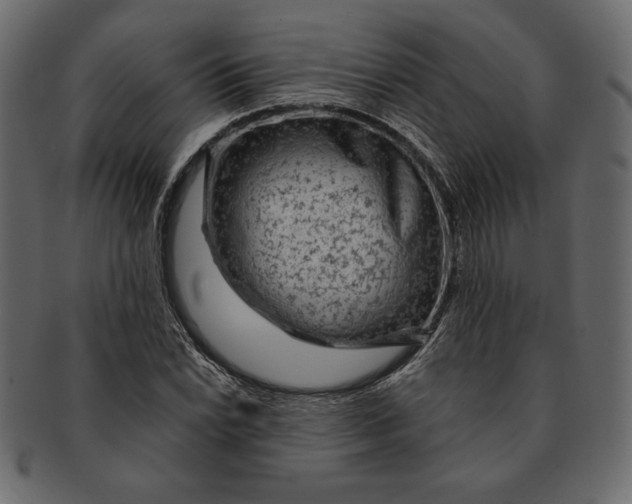 X0000091361022200709071258