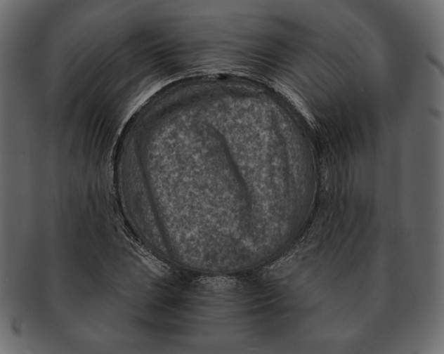 X0000091361023200709071258