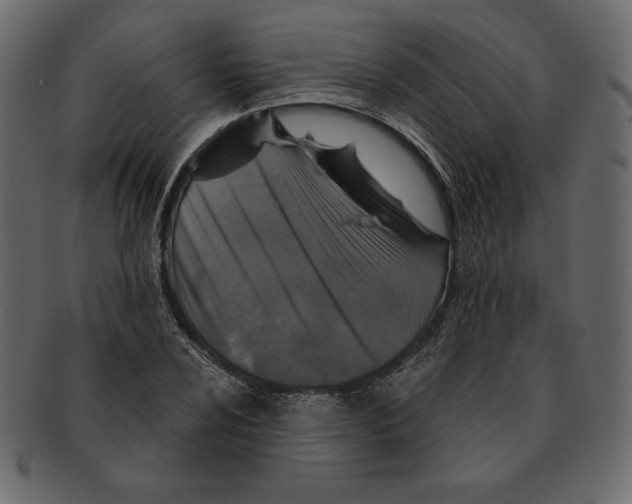 X0000091361024200709071258