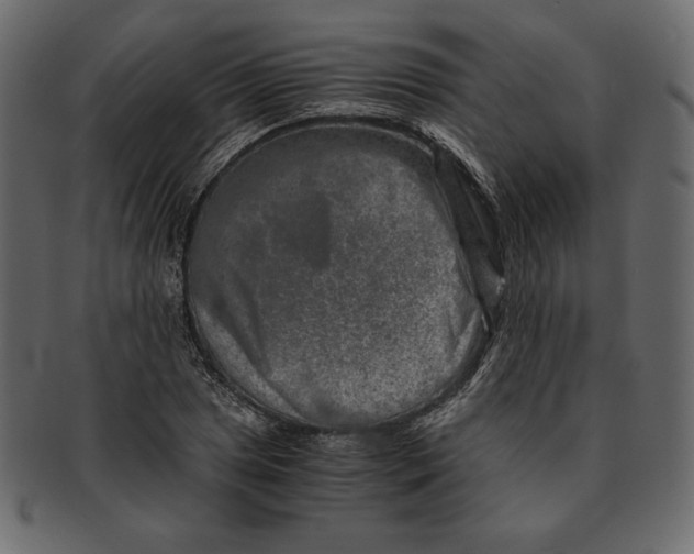 X0000091361025200709071258