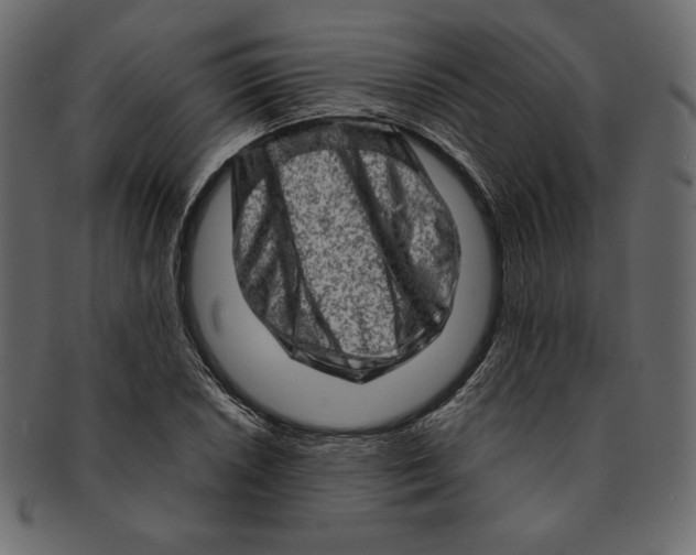 X0000091361026200709071258